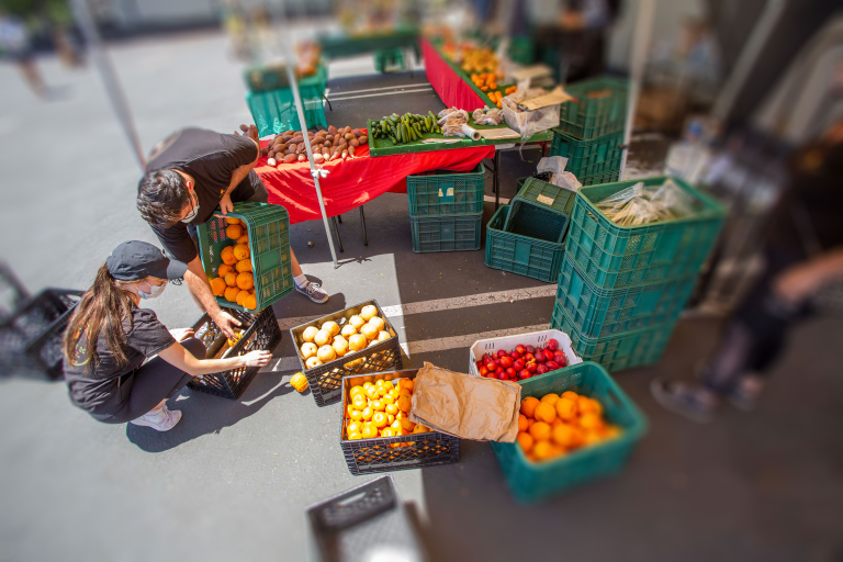 volunteers with crates of vegetables and fruit